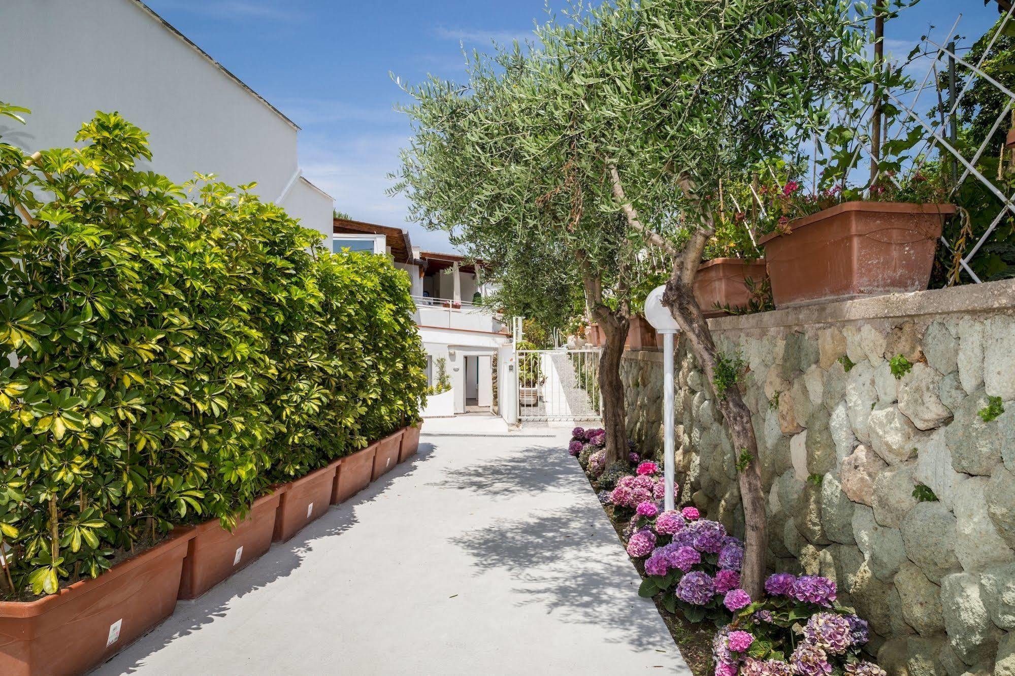 Relais Romildanna Bed & Breakfast Forio  Exterior photo